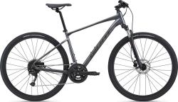Велосипед Giant Roam 2 Disc 28" (2021), рама L (175-185 см), серый