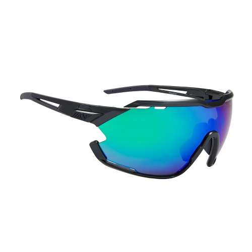 Мультиспортивные очки NORTHUG GOLD PERFORMANCE BLACK Standard