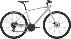 Велосипед Giant Escape 2 Disc 28" (2021), рама XL (185-195 см), серый