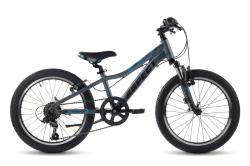 Велосипед Aspect CHAMPION 20" (2022) (110-130 см), серый Велосипед Aspect CHAMPION 20" (2022) (110-130 см), серый