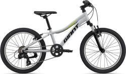 Велосипед Giant XtC Jr 20" (2022) (110-130 см), серый
