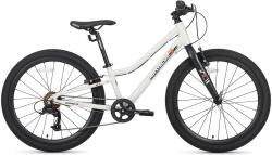 Велосипед Maxiscoo 3Bike 24 L (2025)