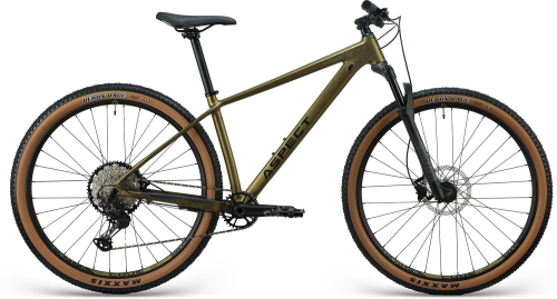 Велосипед Aspect AMP Expert 29 (2025)