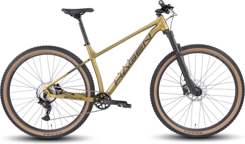 Велосипед Hagen 3.8 29 (2025)