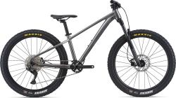 Велосипед Giant STP 26" (2021), рама L (175-185 см), серый Велосипед Giant STP 26" (2021), рама L (175-185 см), серый