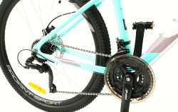 Велосипед Welt Floxy 1.0 HD 26 (2022), рама 17" (165-175 см), зеленый