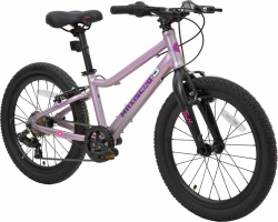 Велосипед Maxiscoo 5BIKE 20 L (2024) (110-130 см), розовый Велосипед Maxiscoo 5BIKE 20 L (2024) (110-130 см), розовый