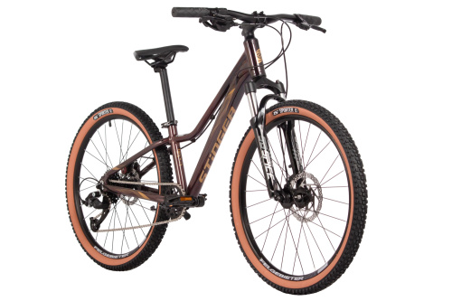 Велосипед Stinger Laguna 24 (2025) (130-155 см), фиолетовый