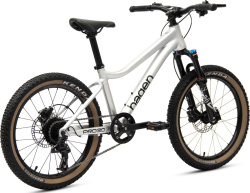 Велосипед Hagen Teen Pro 20 AIR (2024) (110-130 см), серебристый