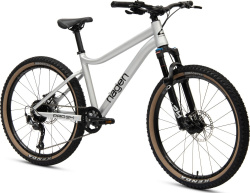 Велосипед Hagen Teen Pro 24 AIR (2024) (130-155 см), серебристый