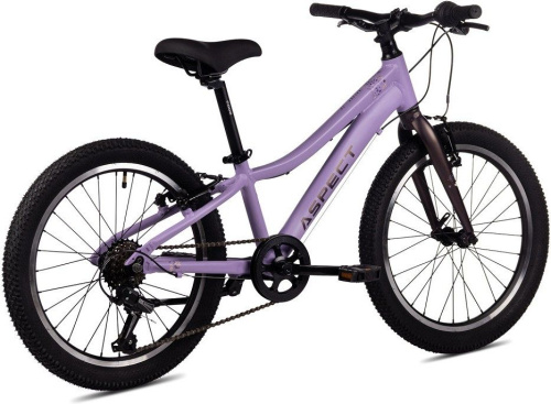 Велосипед Aspect Galaxy 20 (2024) (110-130 см), розово-фиолетовый