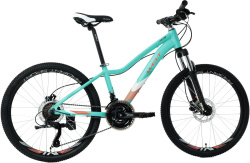 Велосипед Welt Floxy 1.0 HD 24 (2022), рама 13" (130-155 см), зеленый