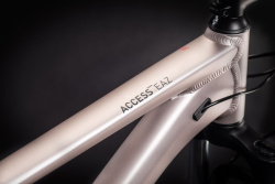 Велосипед CUBE ACCESS WS EAZ 29" (2021), рама 17" (165-175 см), серый